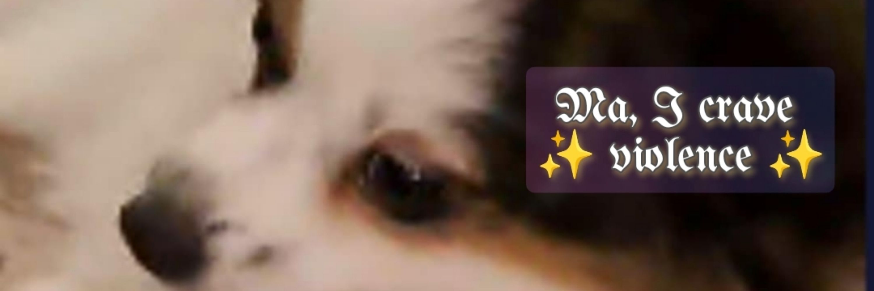 Erin