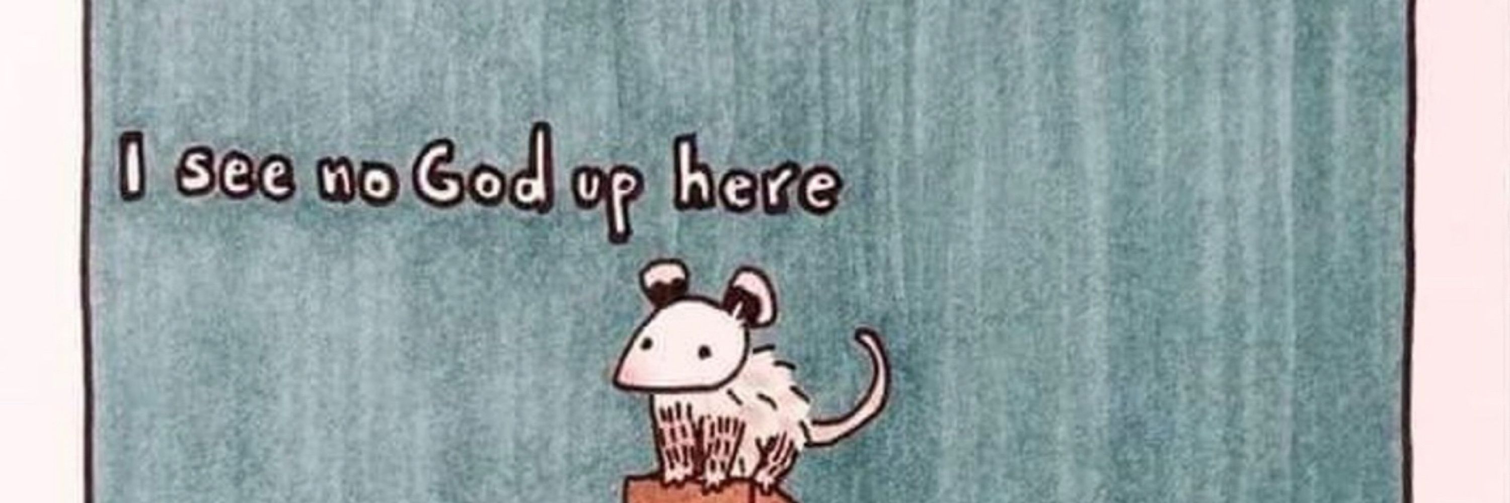 📚Possum Master’s Guide📚