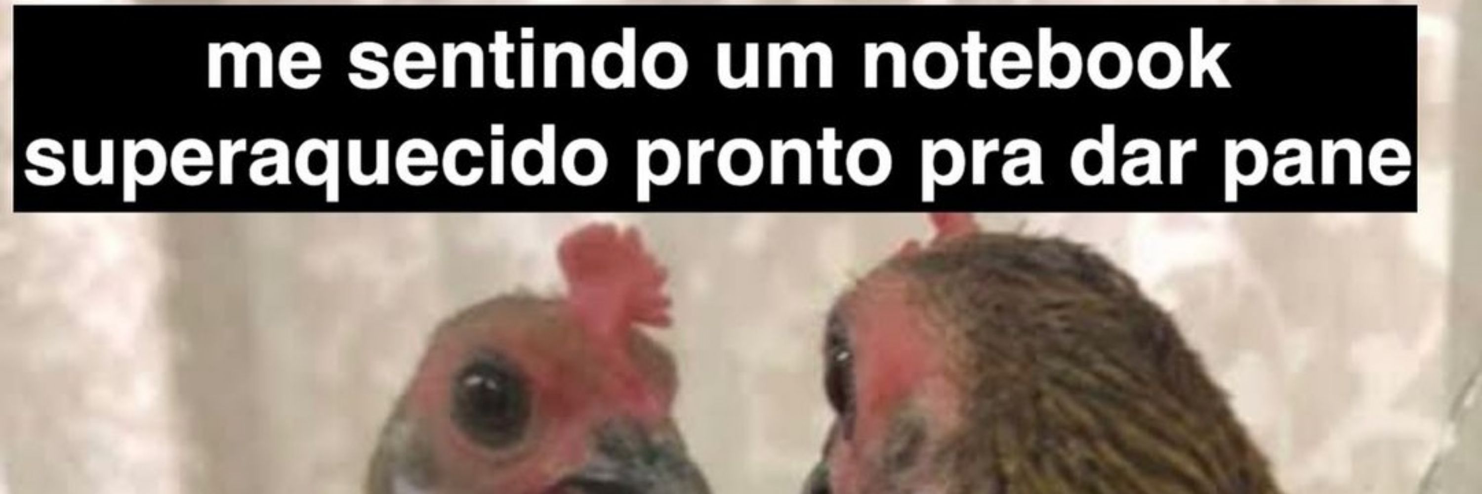 Camis de camaleão 