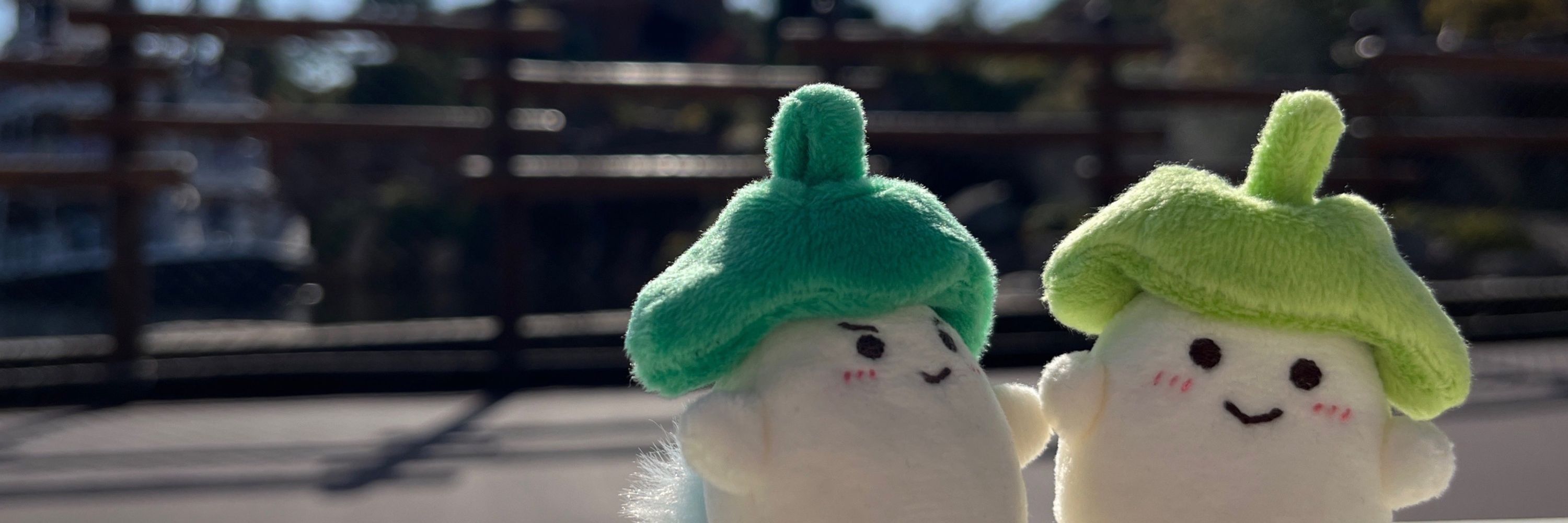 とき