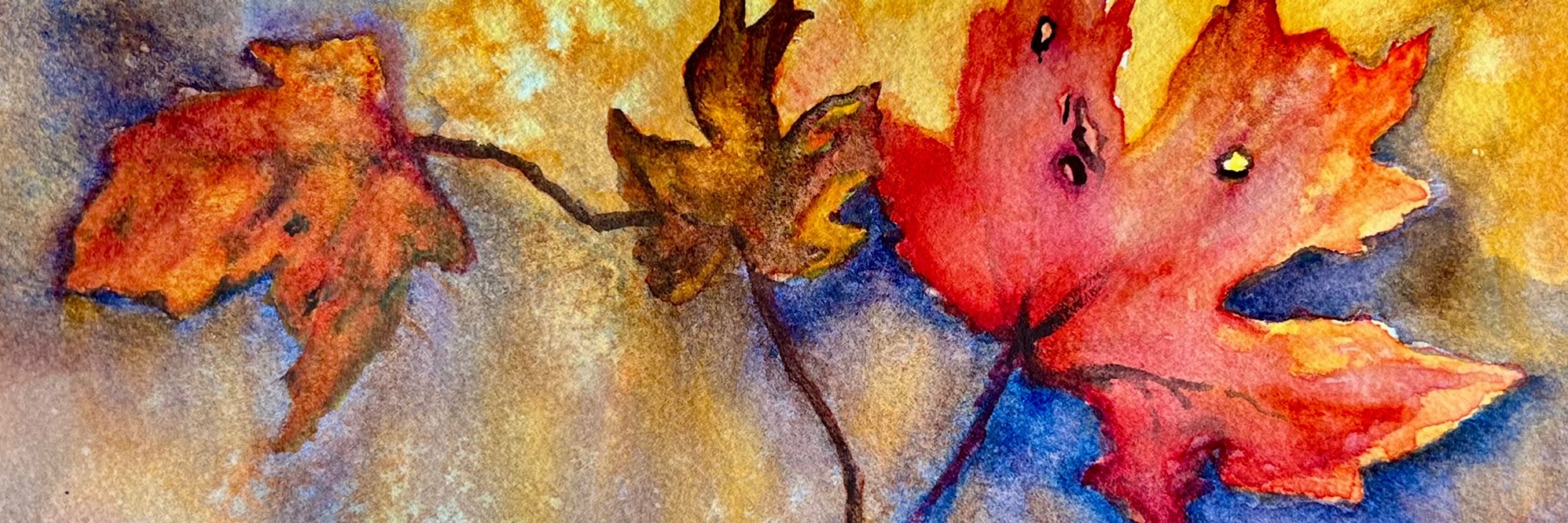 Sue McDonald