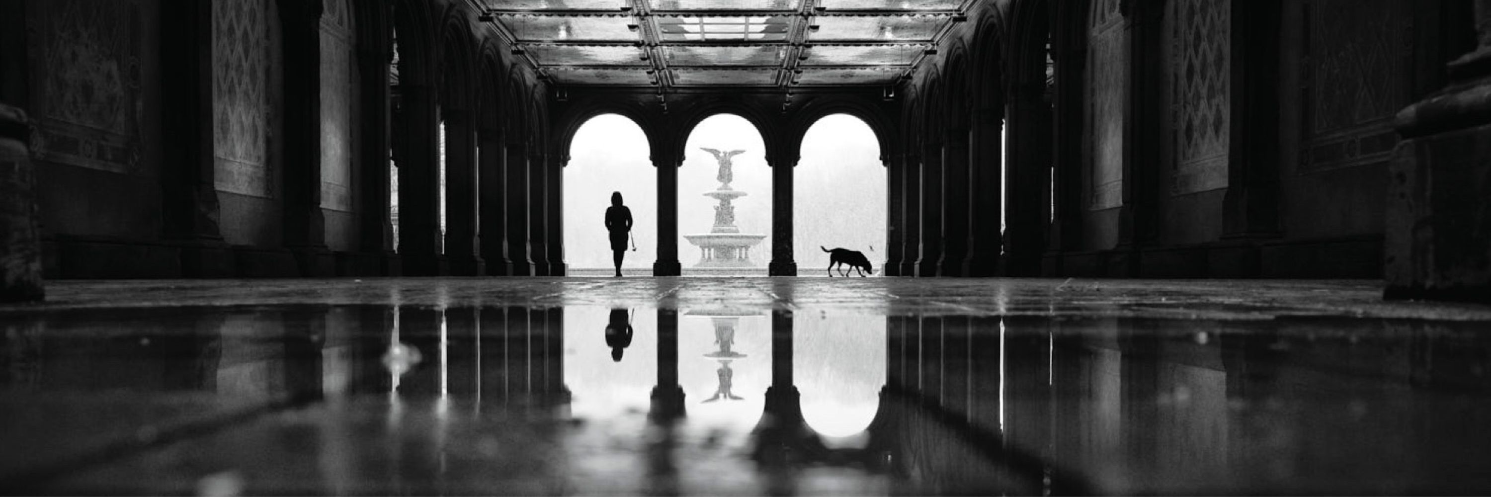 Phil Penman