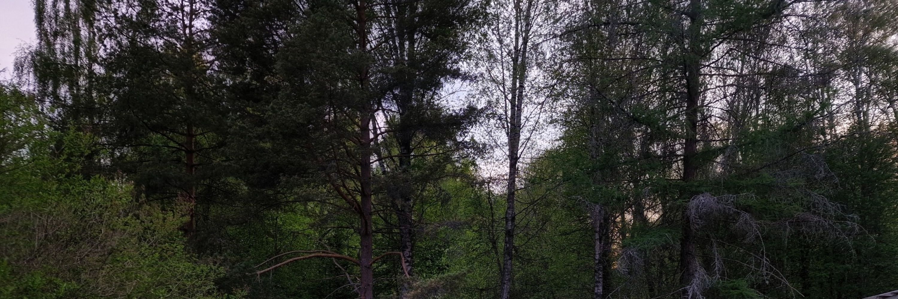 Tiltu