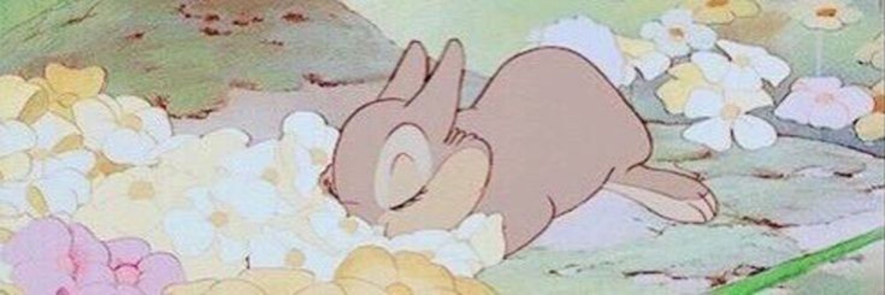 ⋆｡‧˚ʚ🧋shelb🪲ɞ˚‧｡⋆