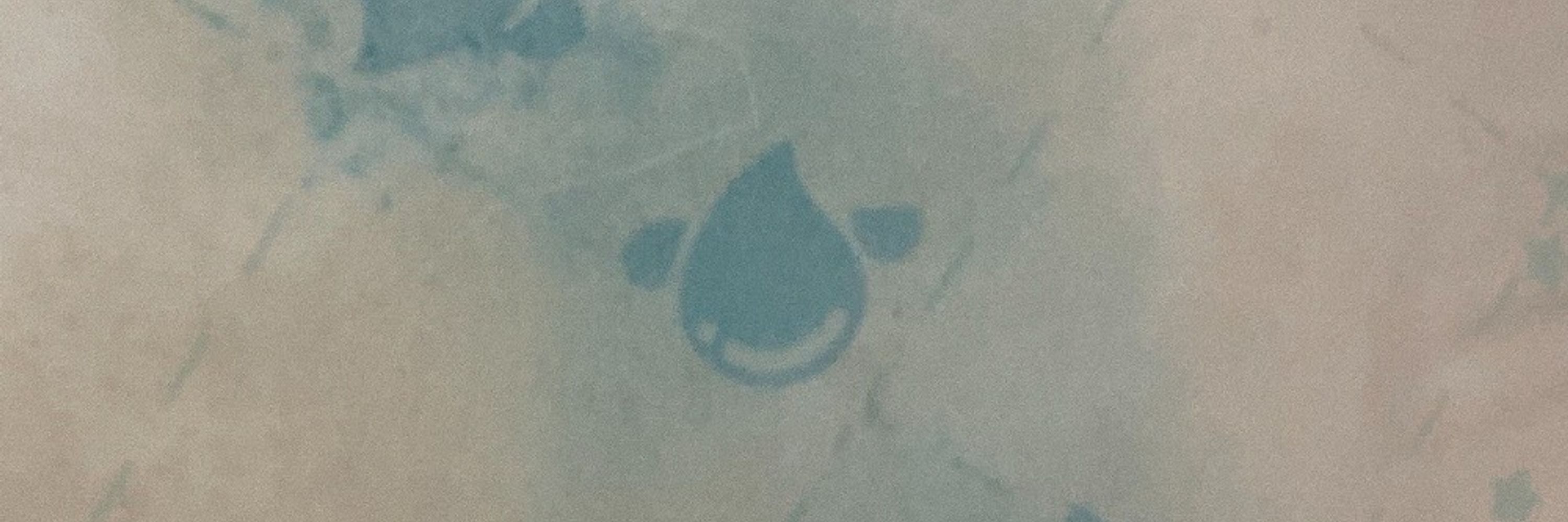 and_is_wet