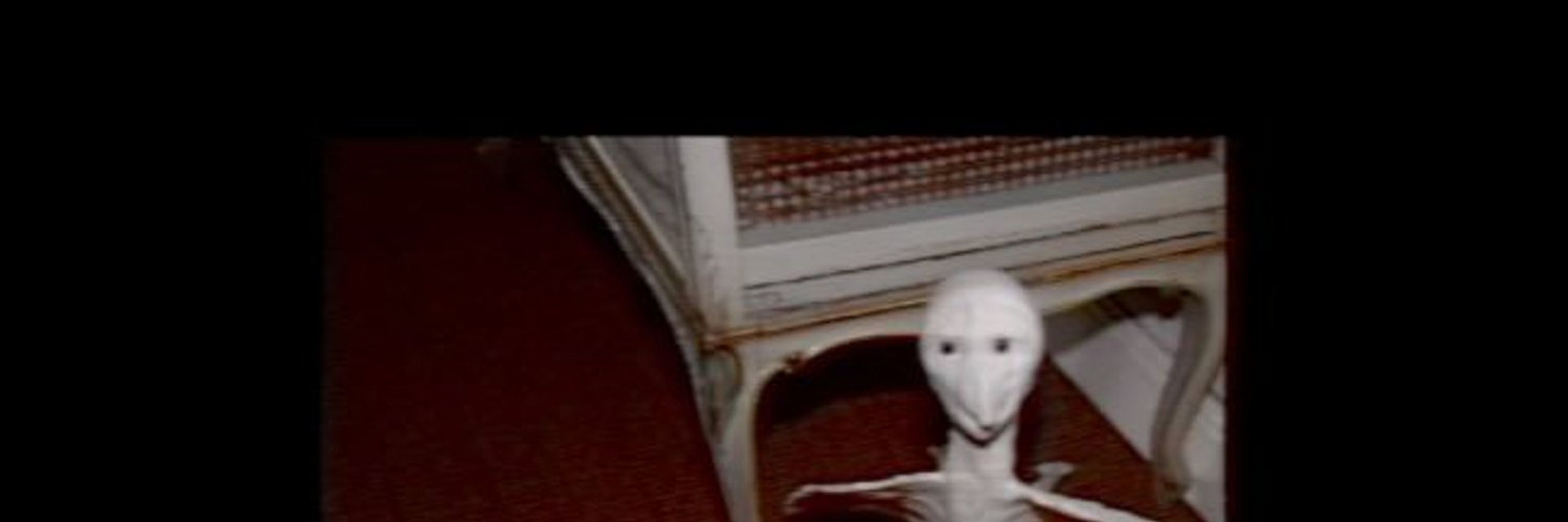 Creature Sightings