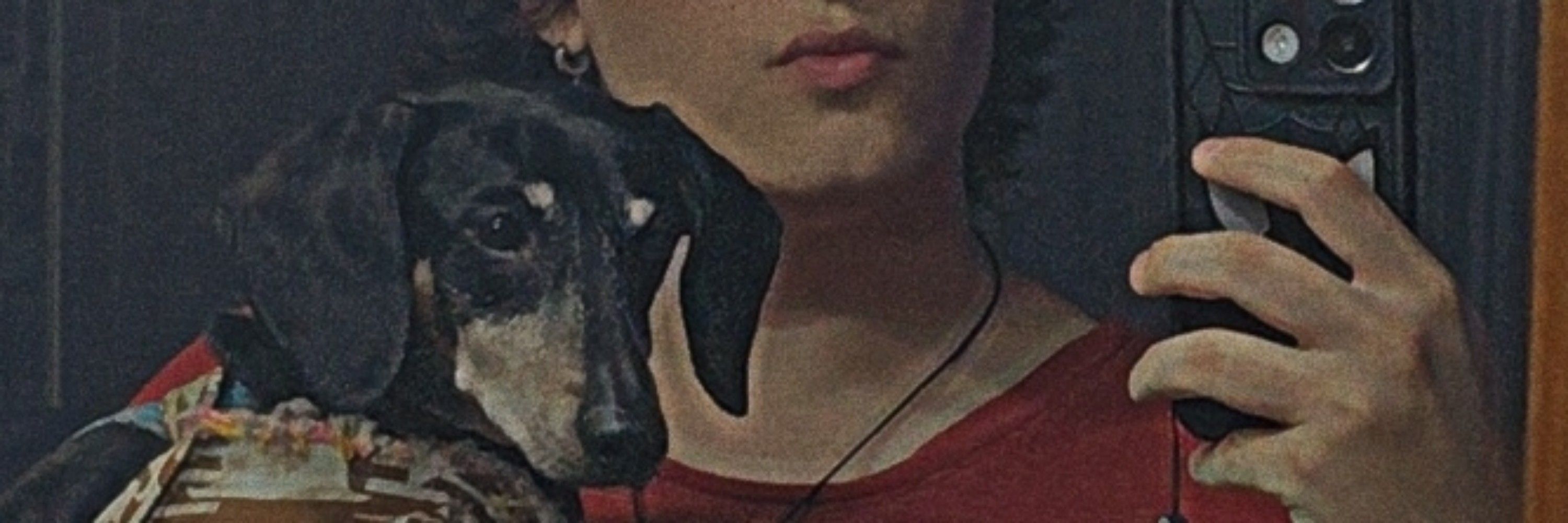 lóbulo frontal