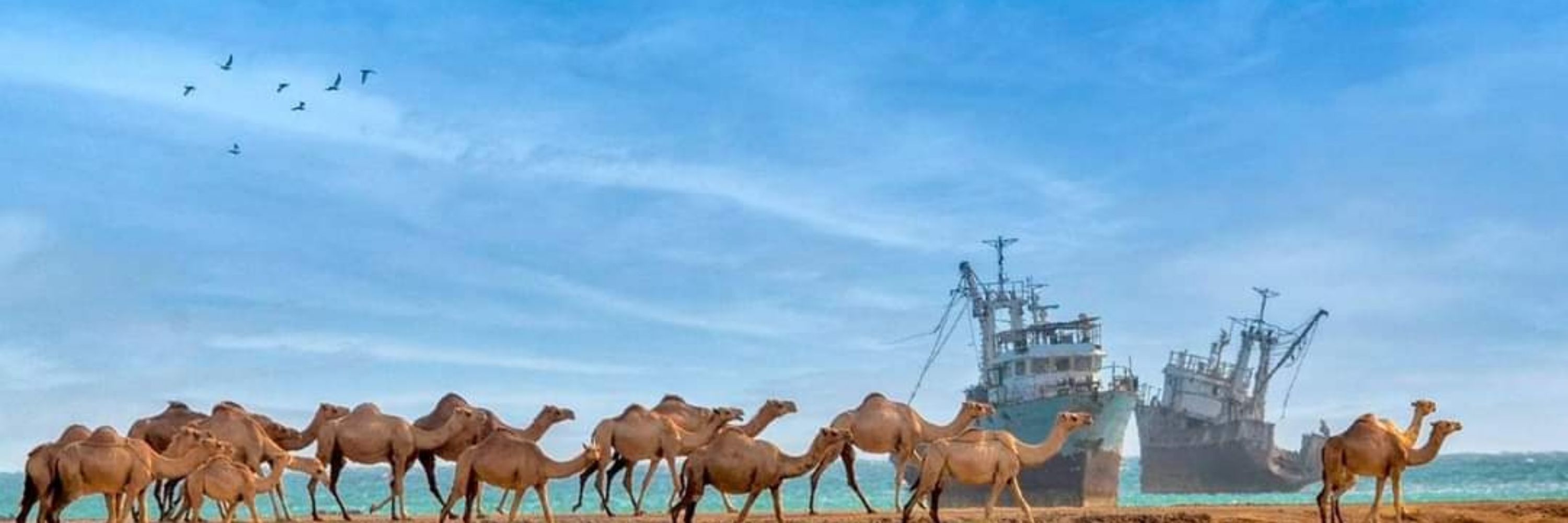 نواب عادل رندھاوا