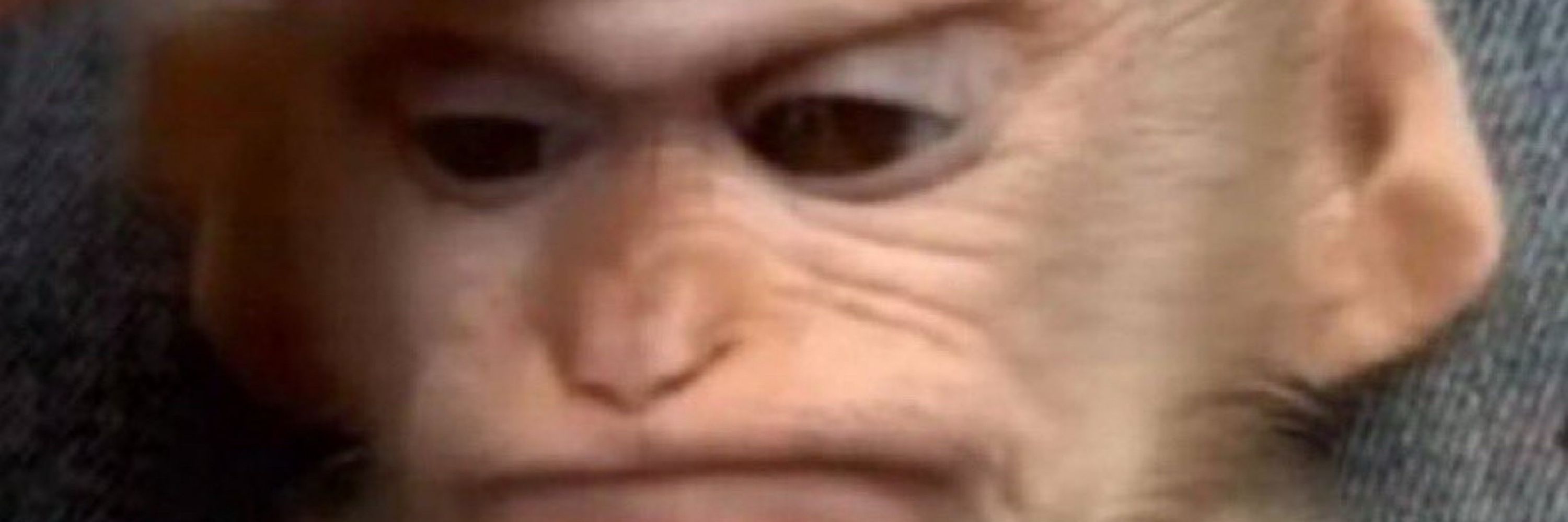 thi 