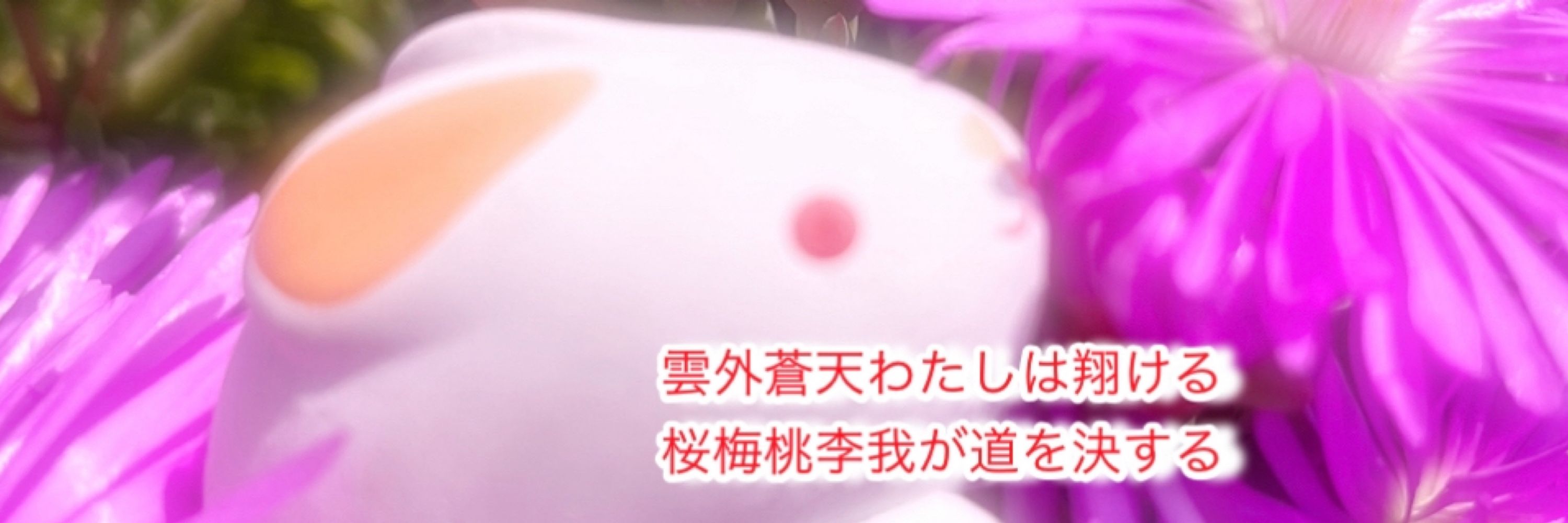 ももまろ　うめこ