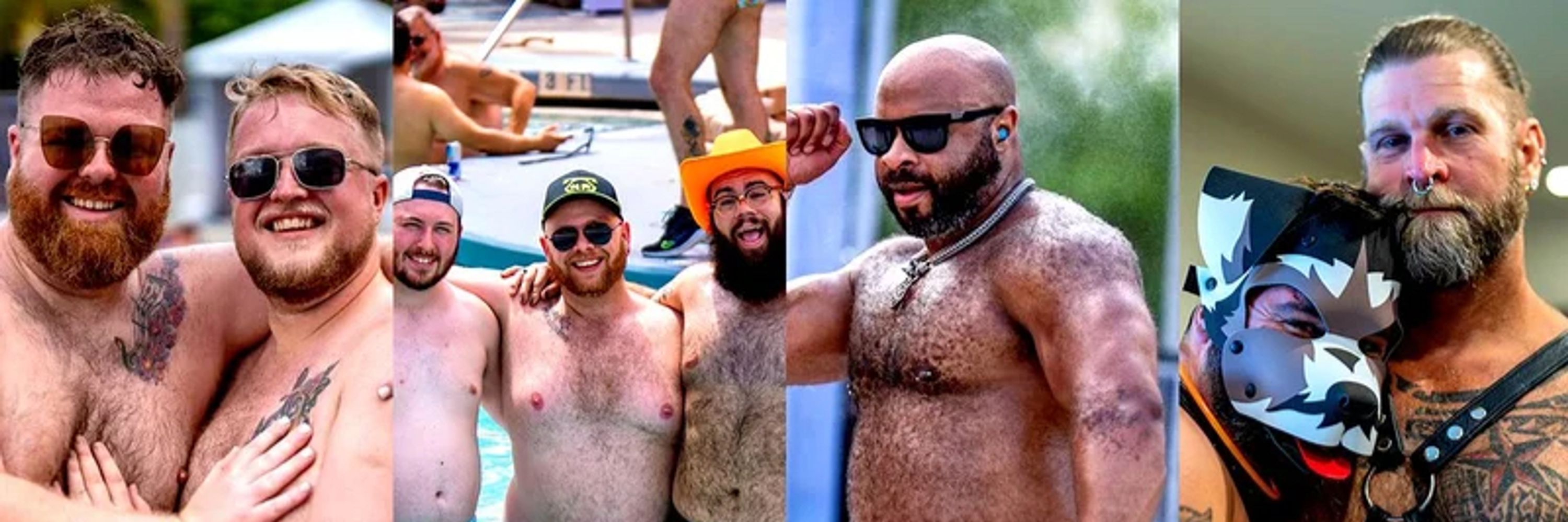 𝐏𝐥𝐮𝐬𝐡𝐏𝐨𝐰𝐞𝐫 🐻🐾