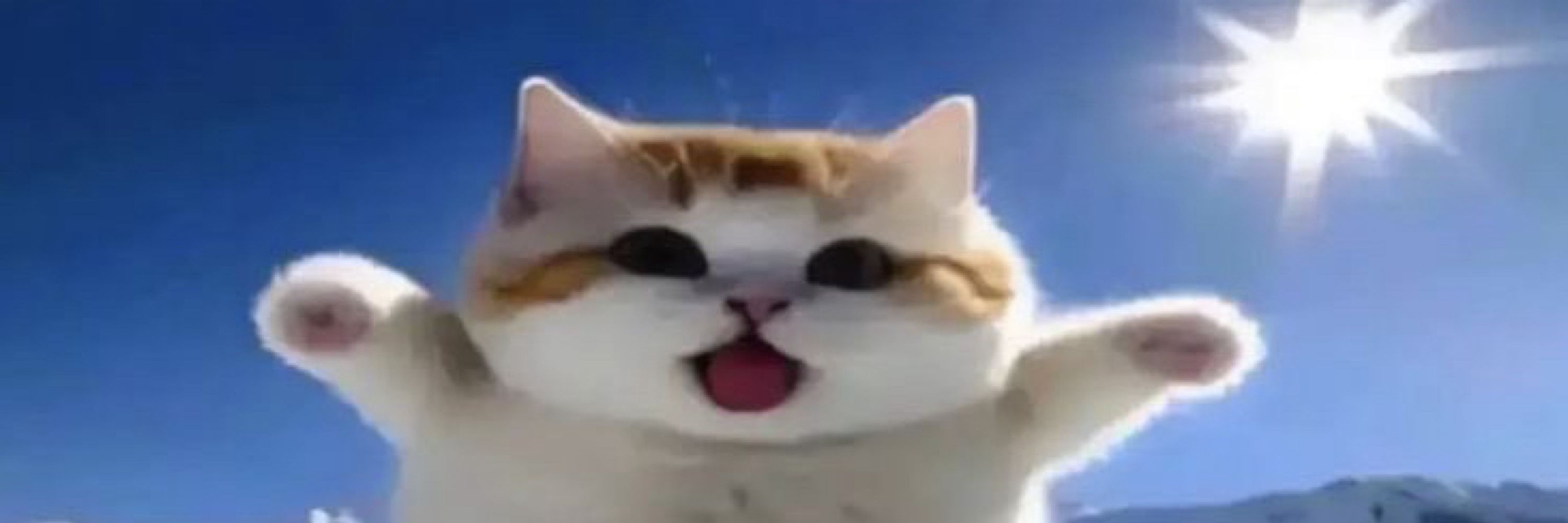 pujee