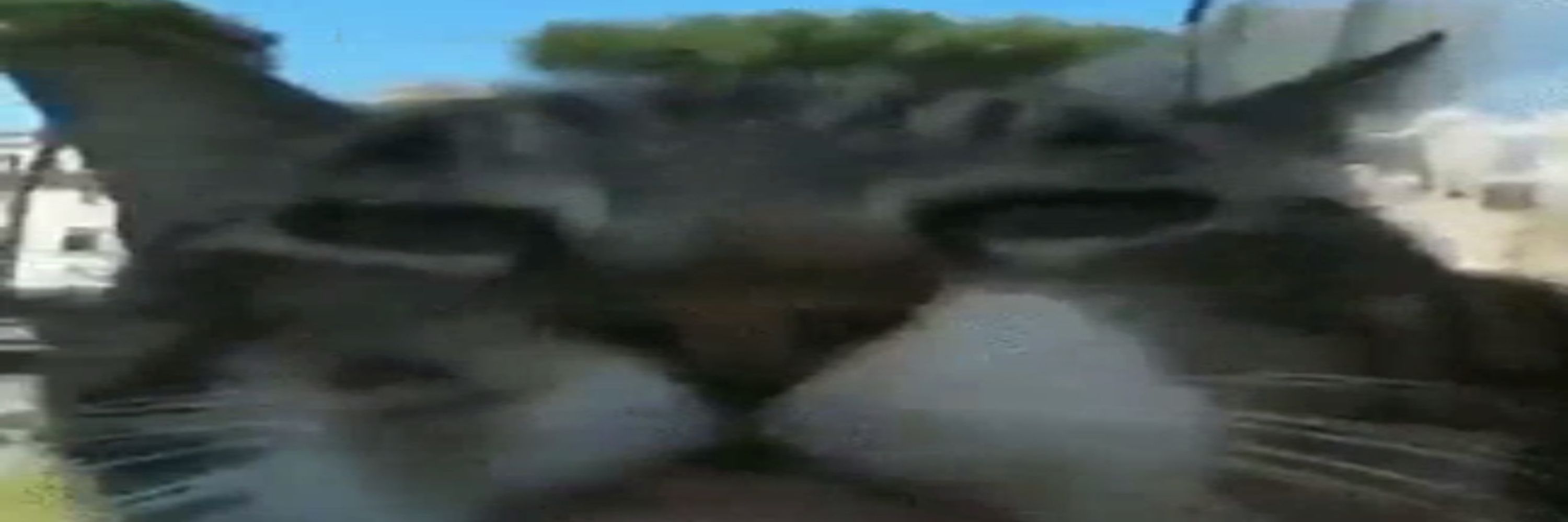 forogumon