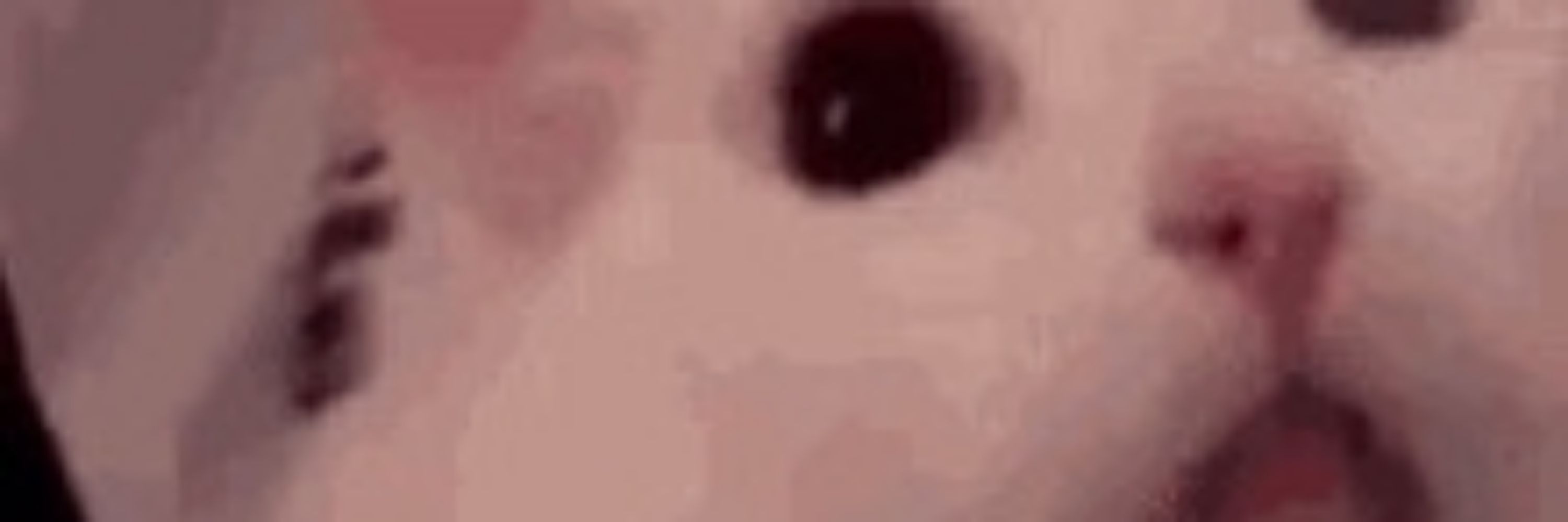 Ryanwants 🔞🖇️