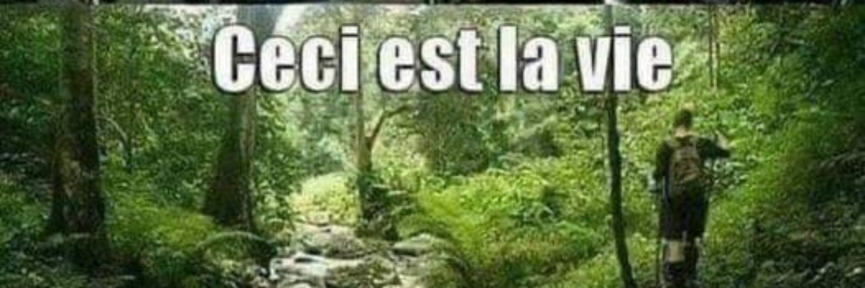 Marion