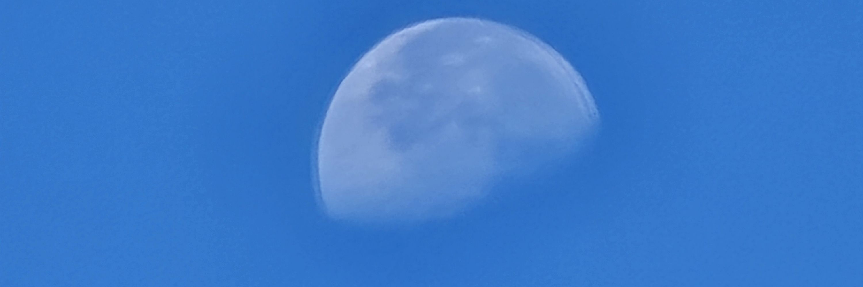 광대