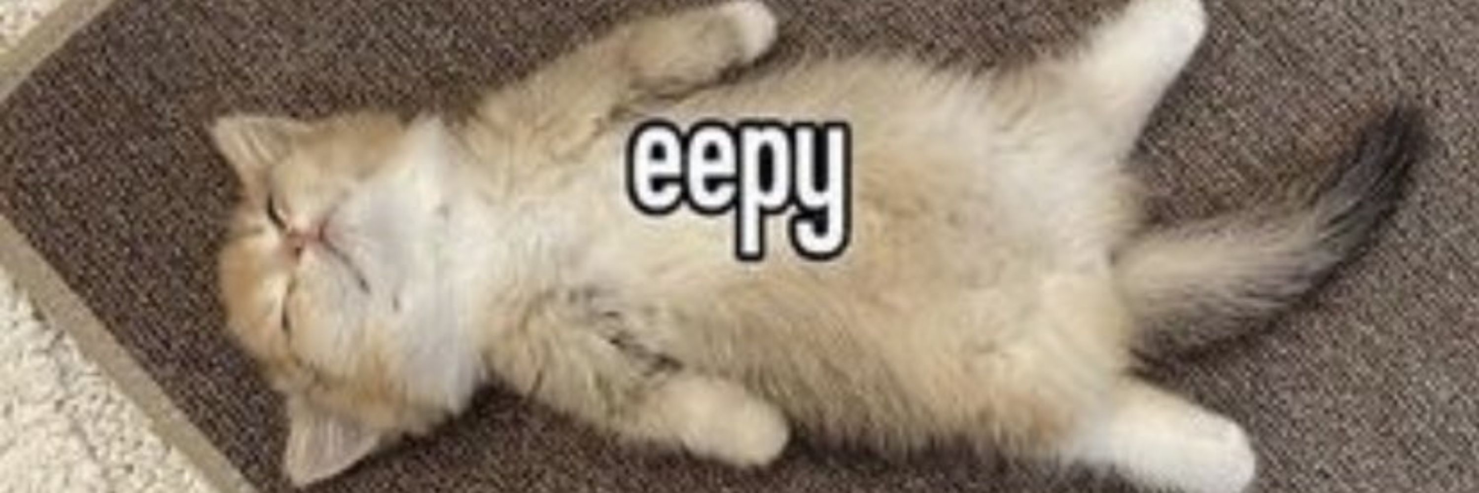 EepyNagi 💤