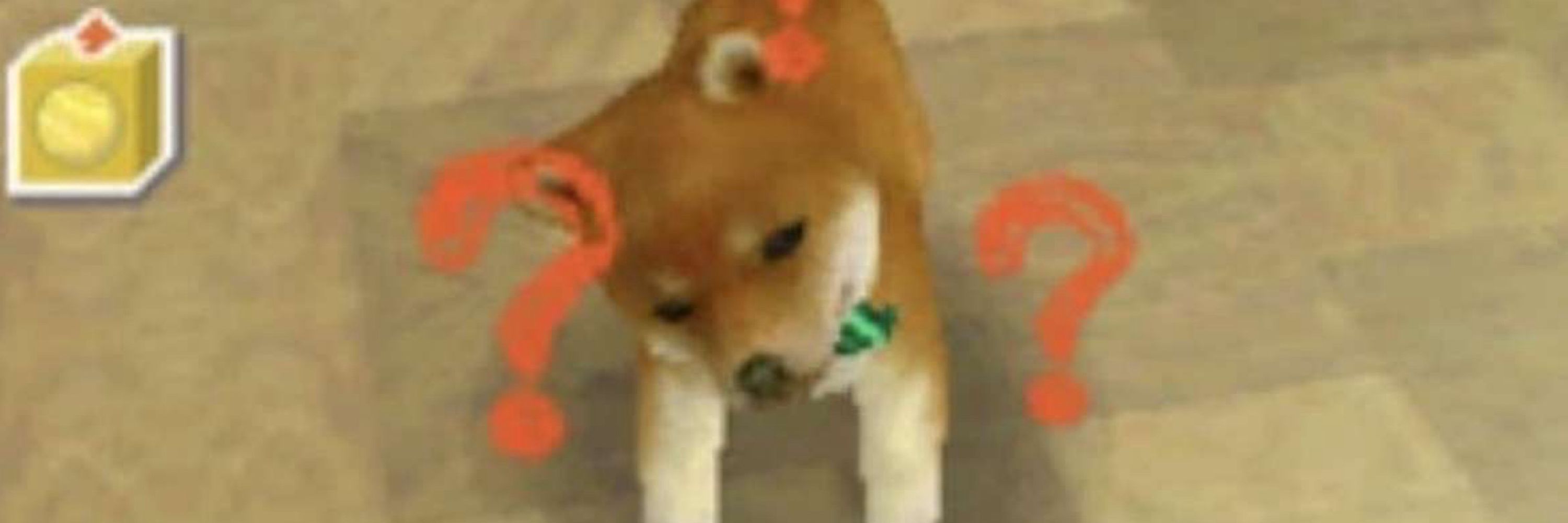 Puppy Azule 💙🩶🩵