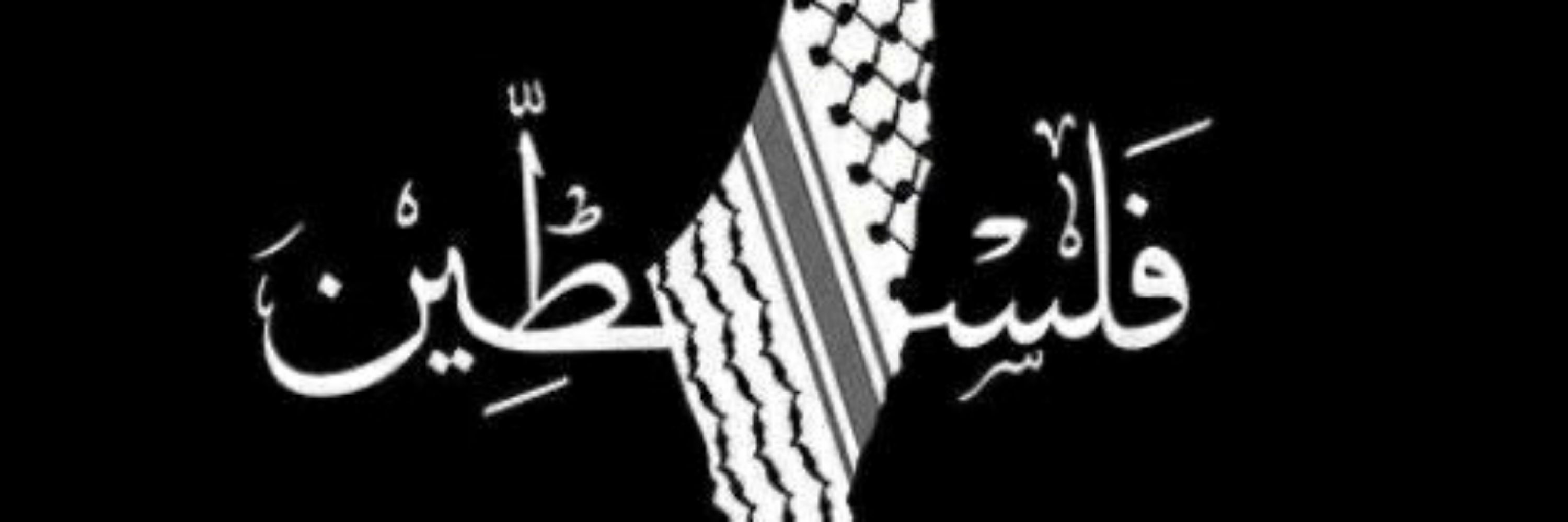رويـدا مهـدي | 𝐑𝐨𝐰𝐢𝐝𝐚 𝐌𝐚𝐡𝐝𝐢