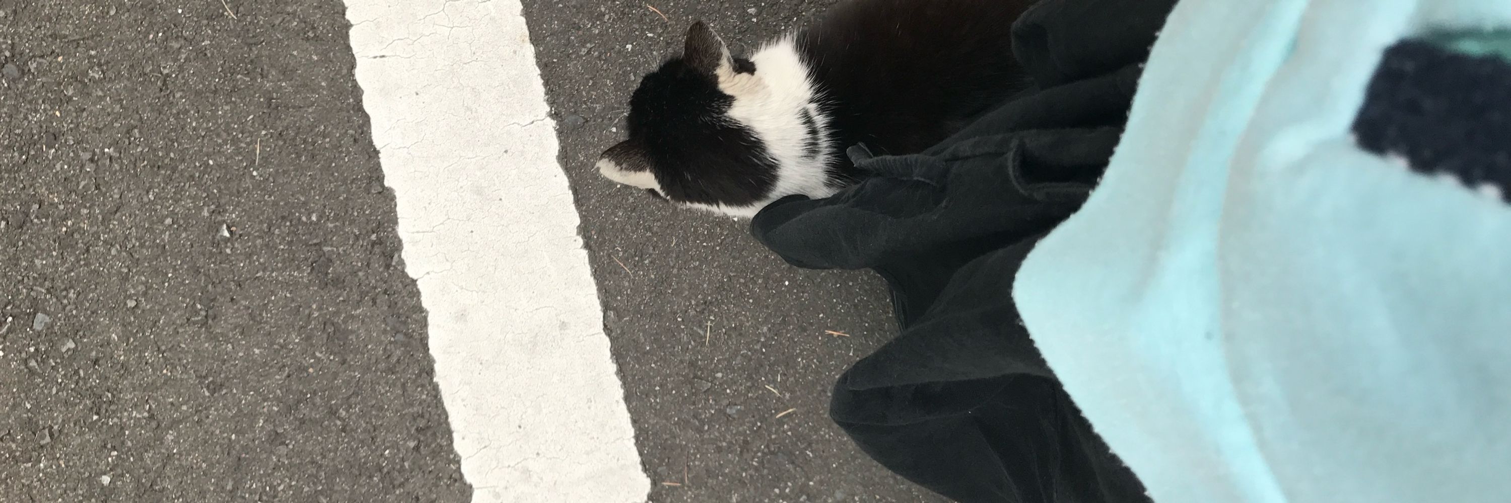 コノミ