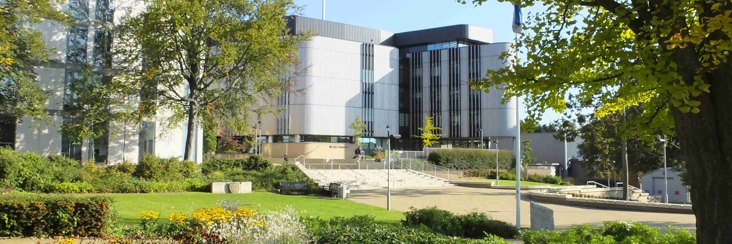 Medical Education, University of Southampton