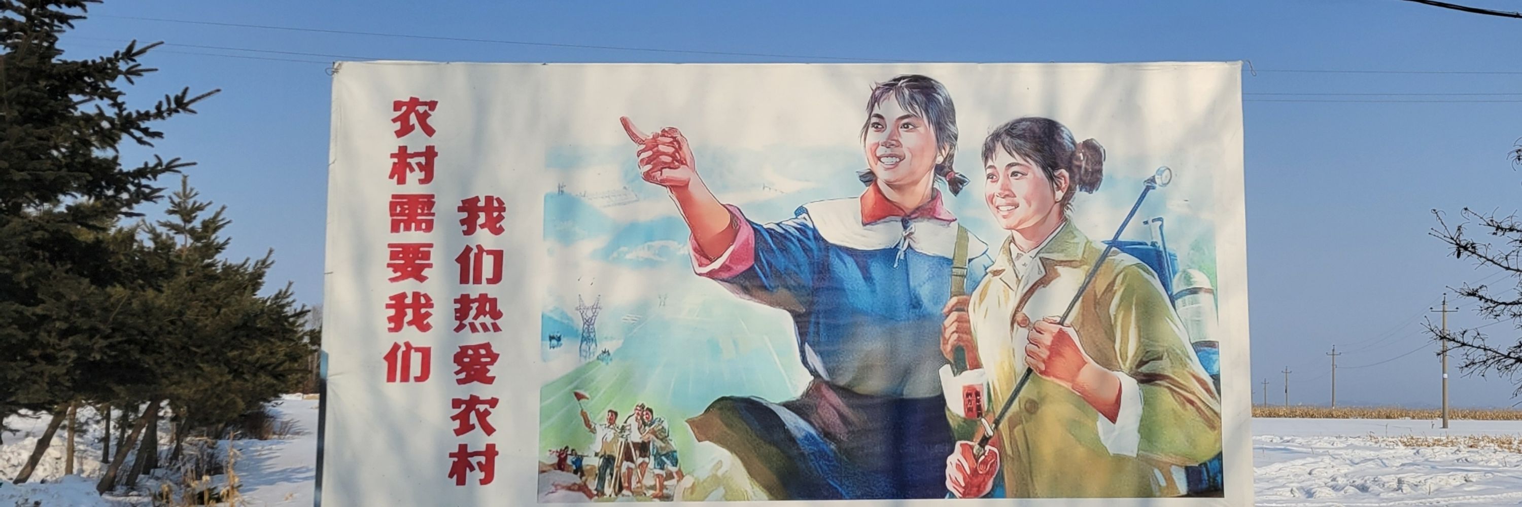 ComradeEgg #蛋主席