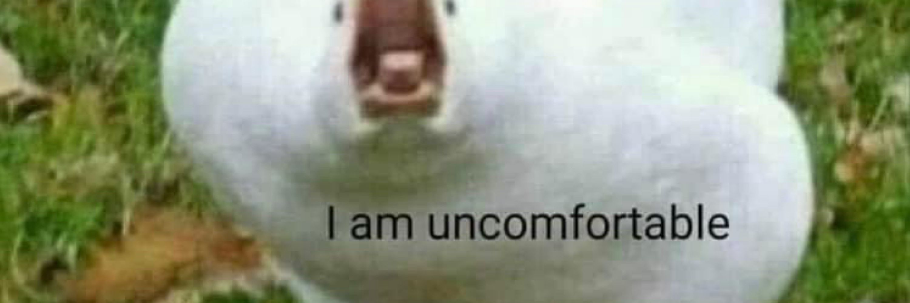 Em