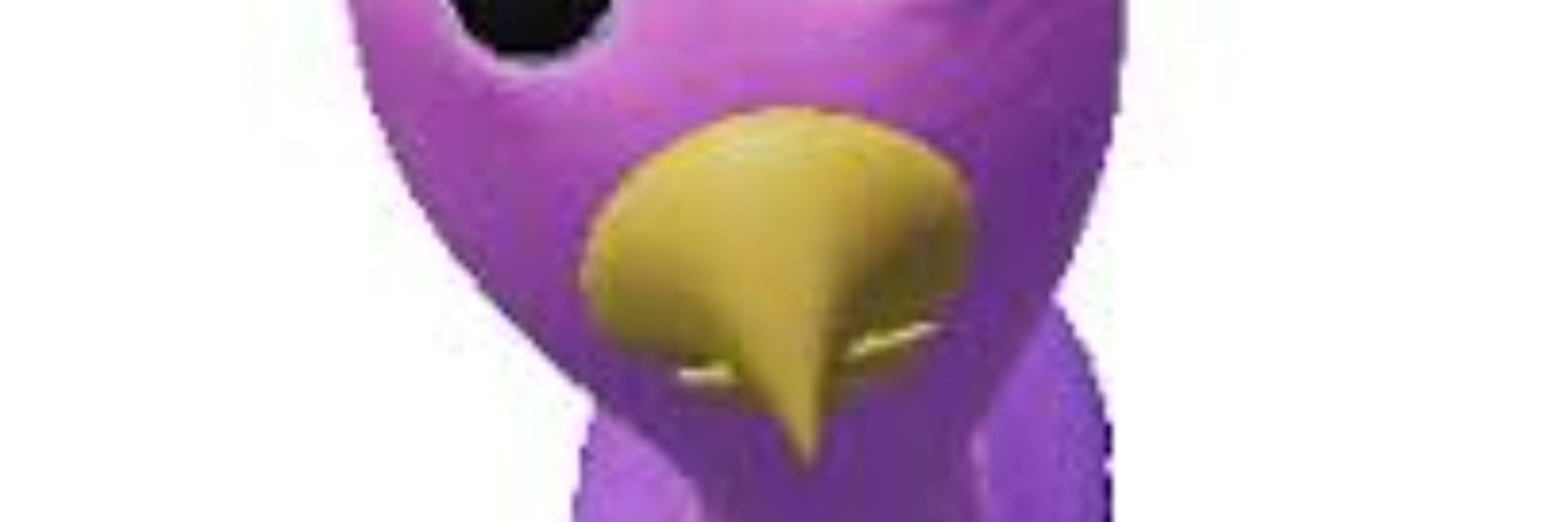 floopydoopy