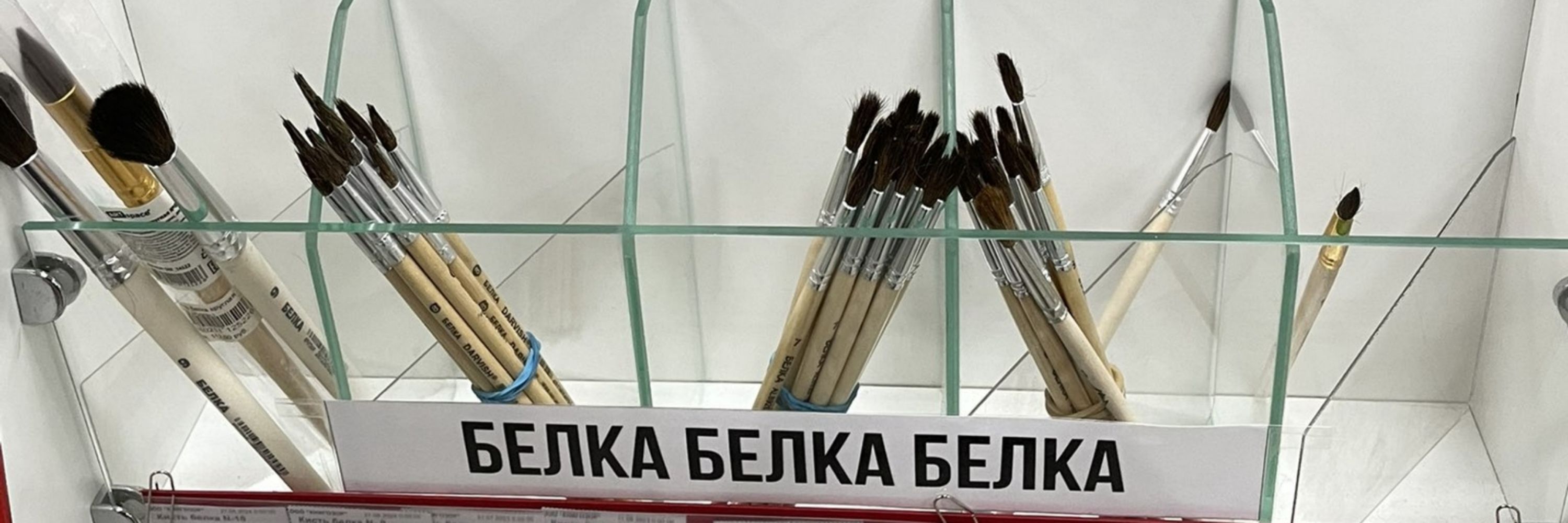 мушонок