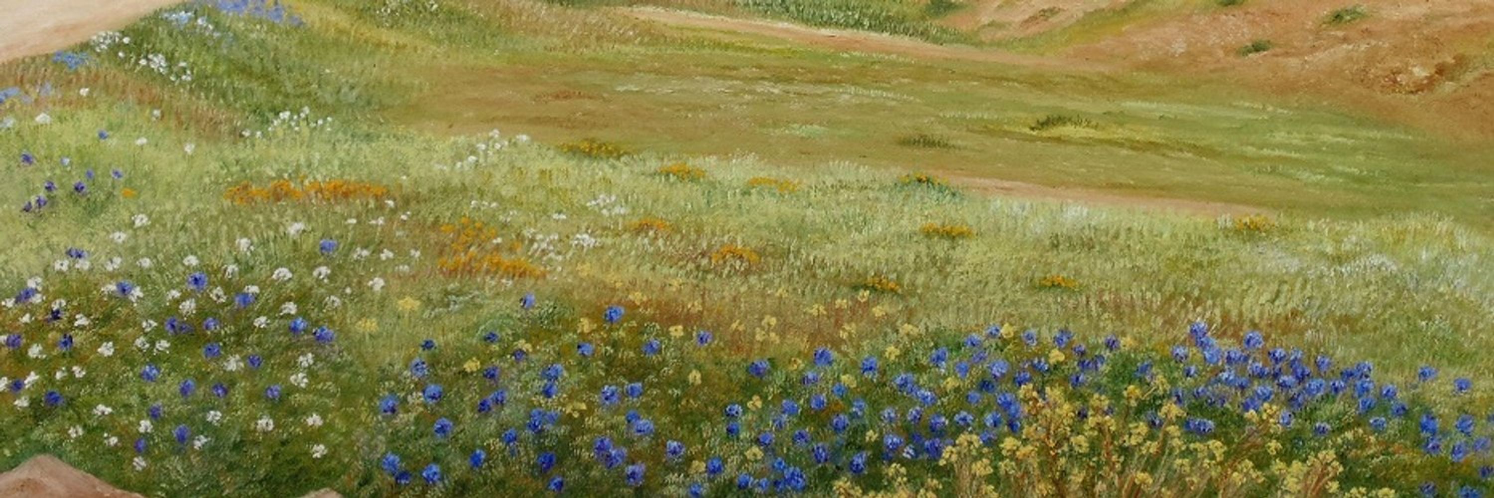 Ángeles M. Pomata