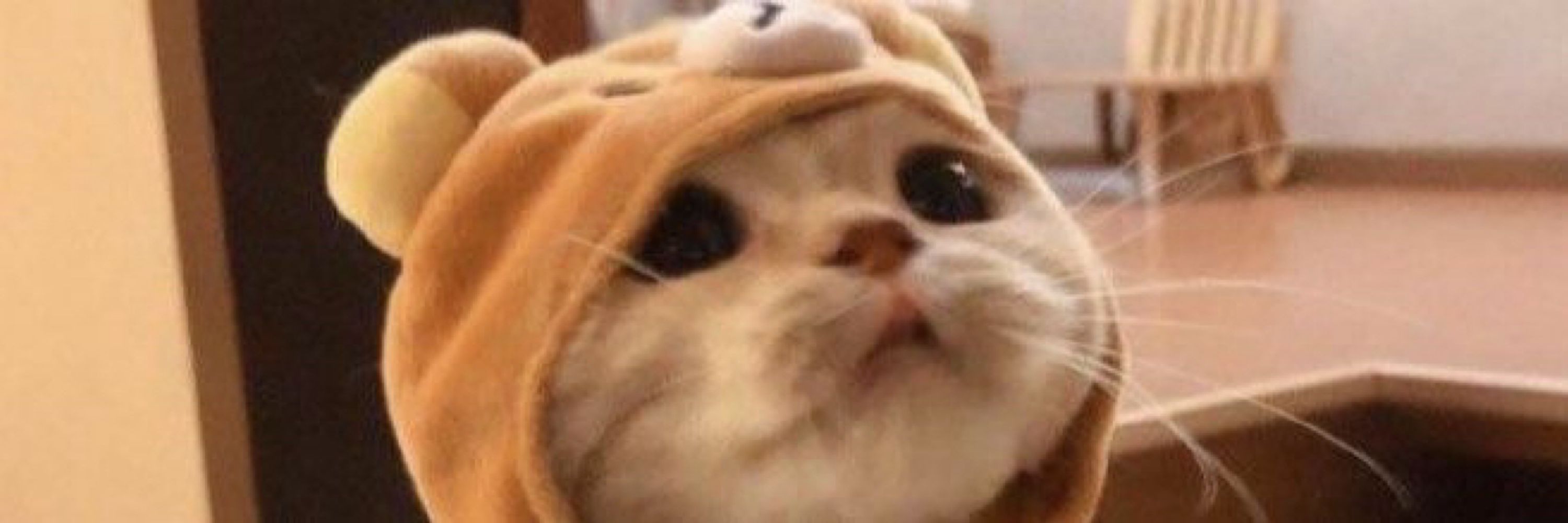 りり