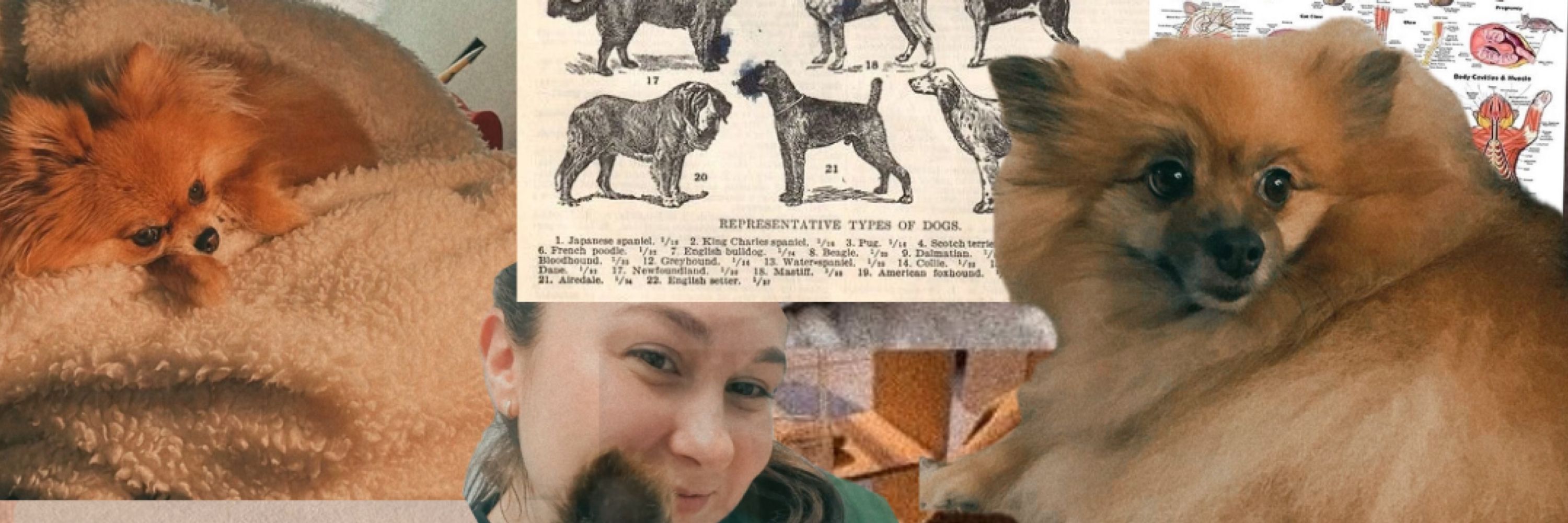 Thamires K Schmitt 