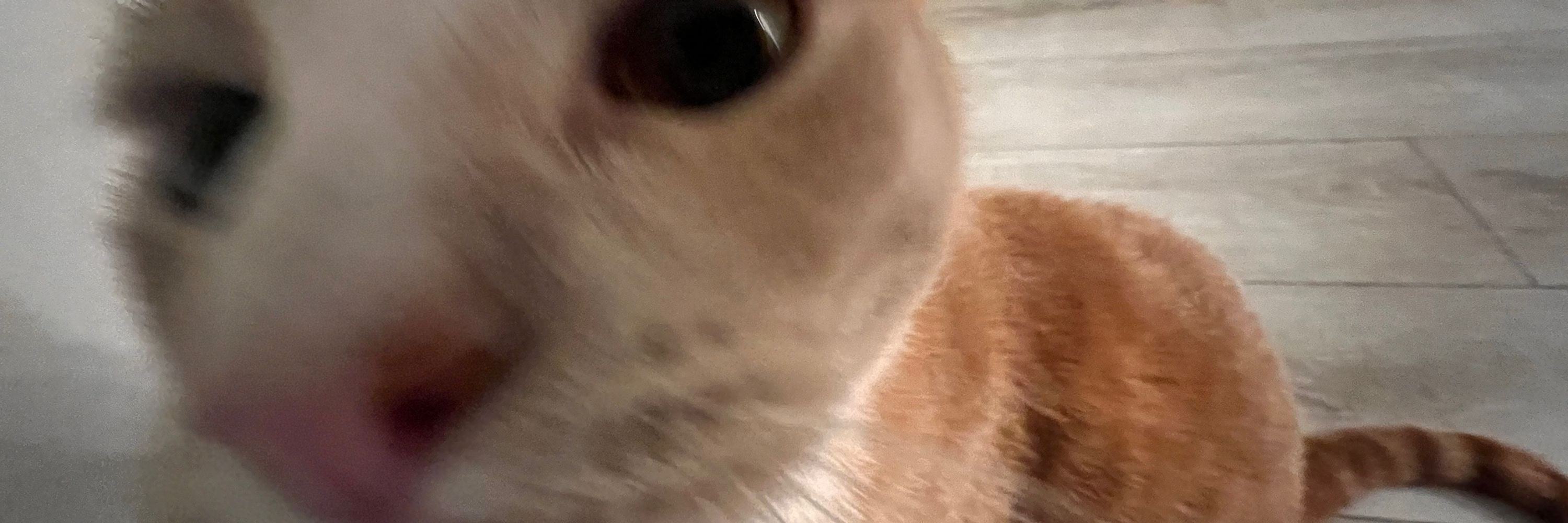 vee