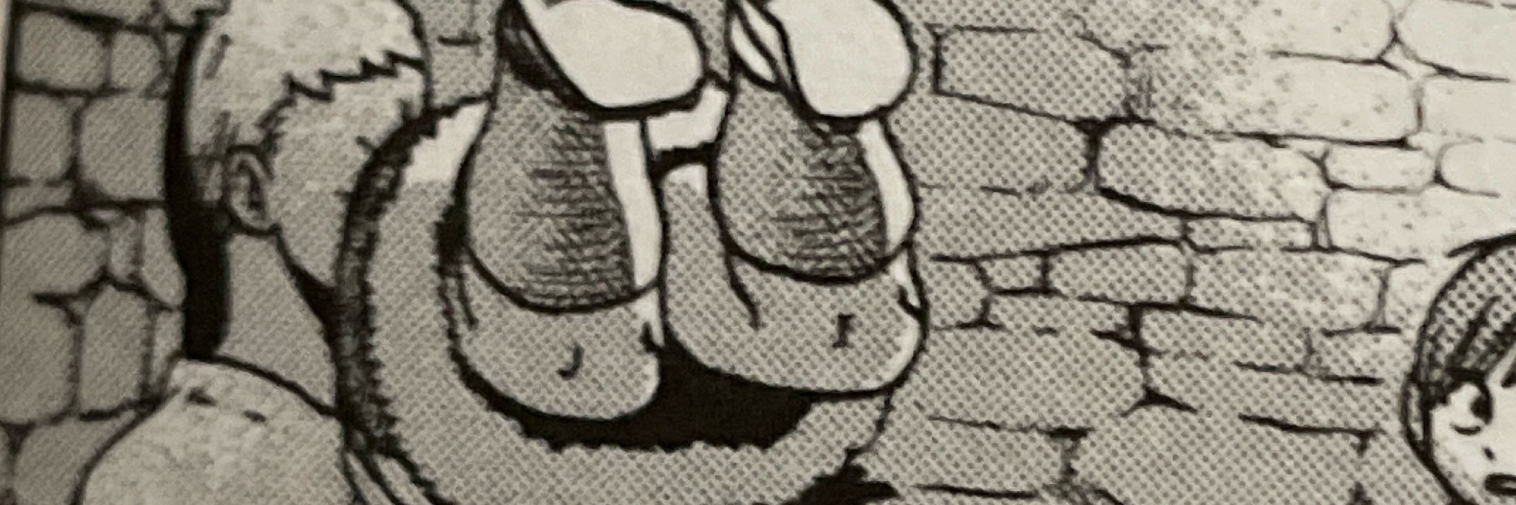 Bunnyknickers