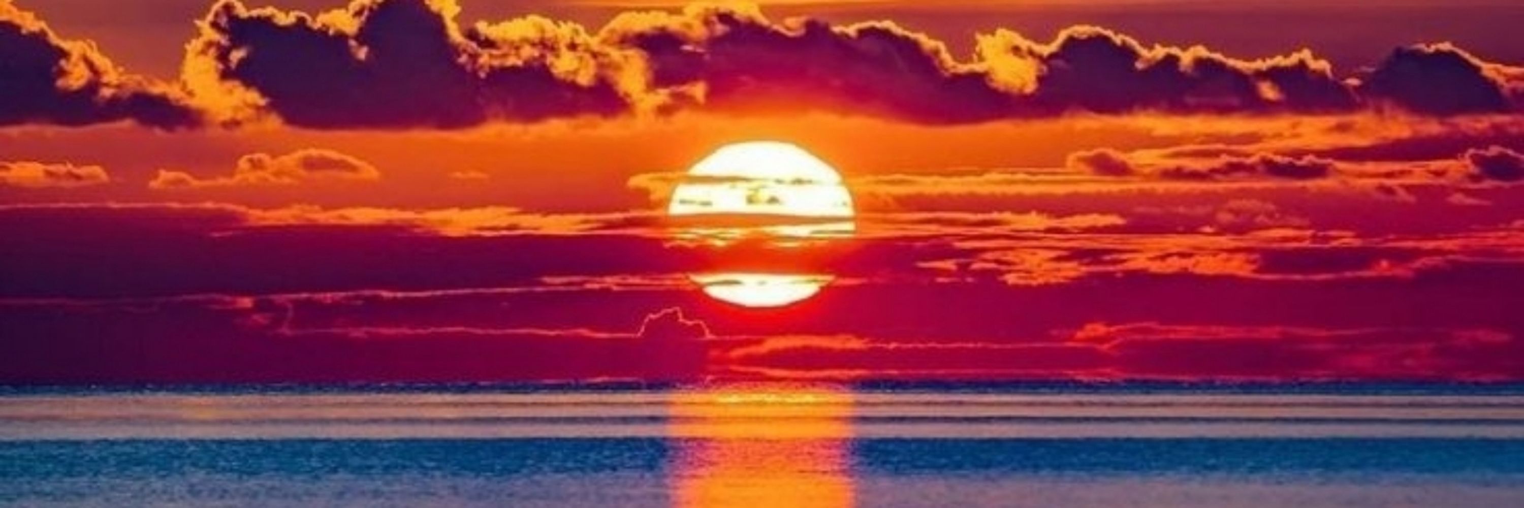 Голубь