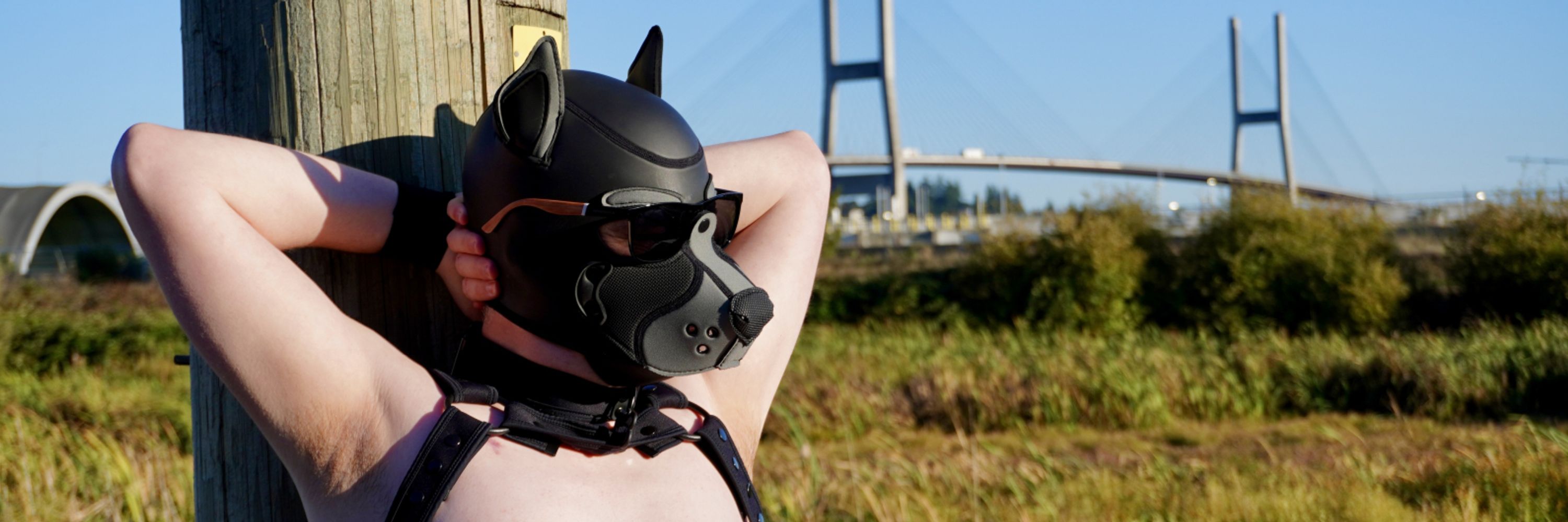 Puma / Wyld Pup