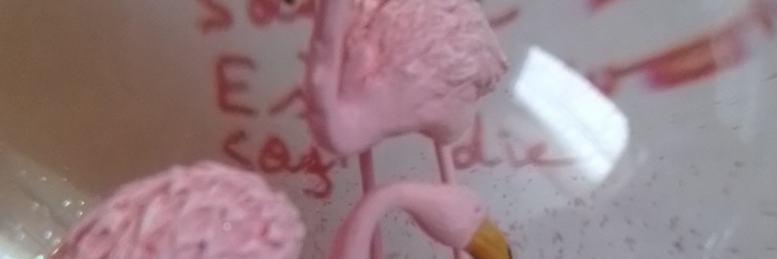 Pantoffeltierchen