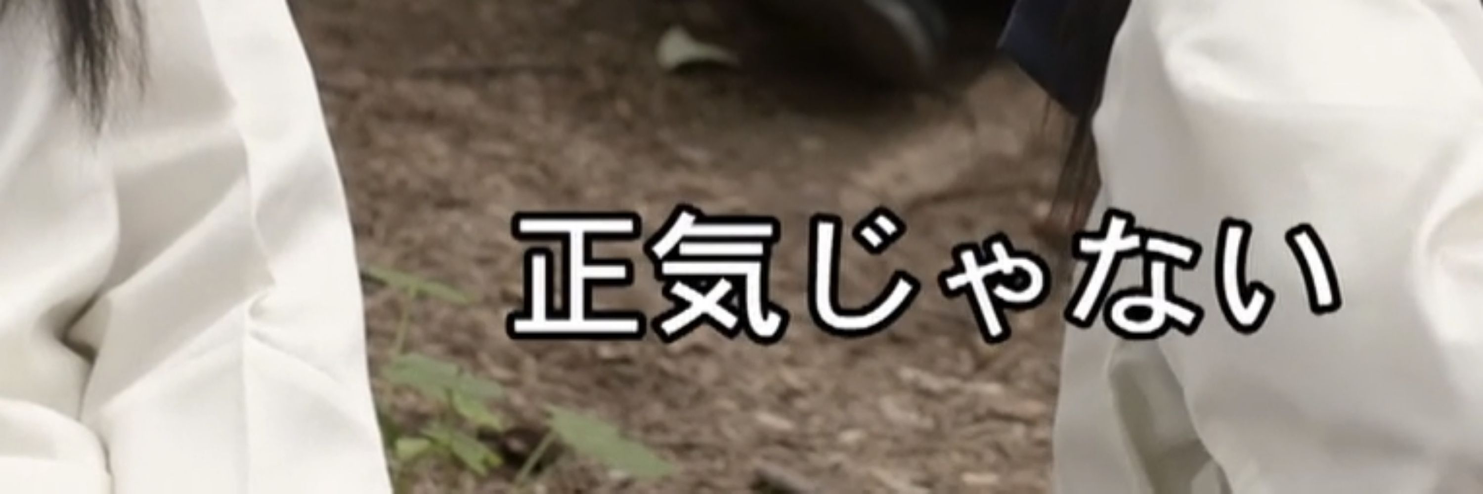 のしめ