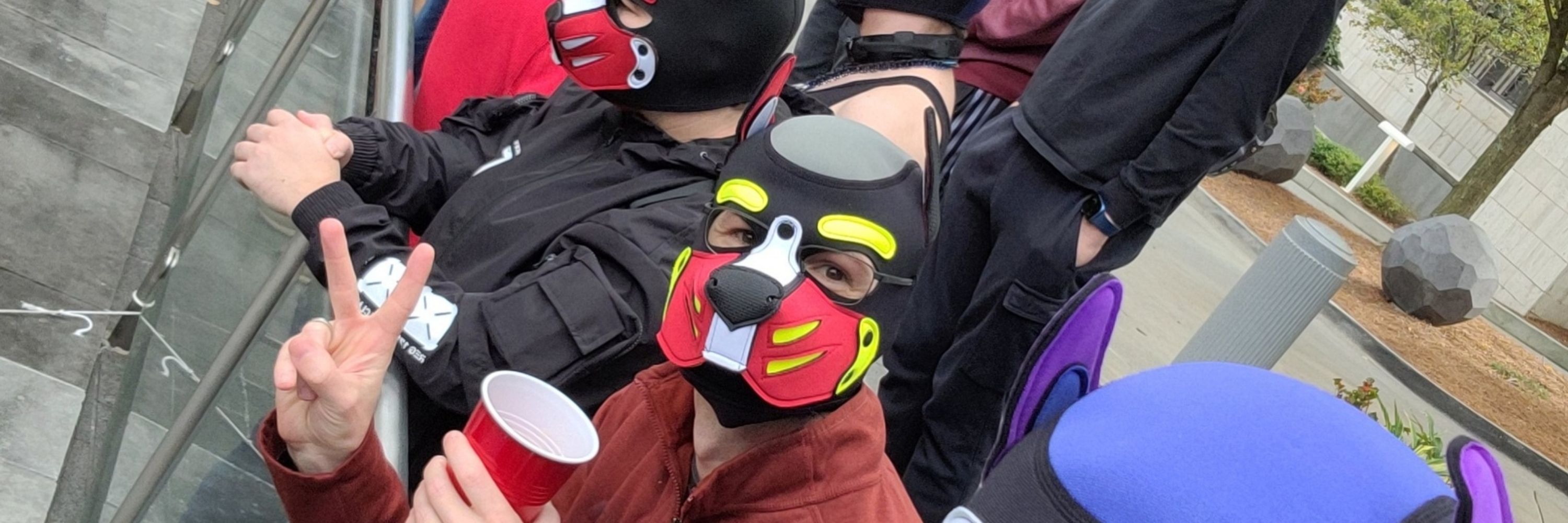 Pup Knight 🔜 FWA