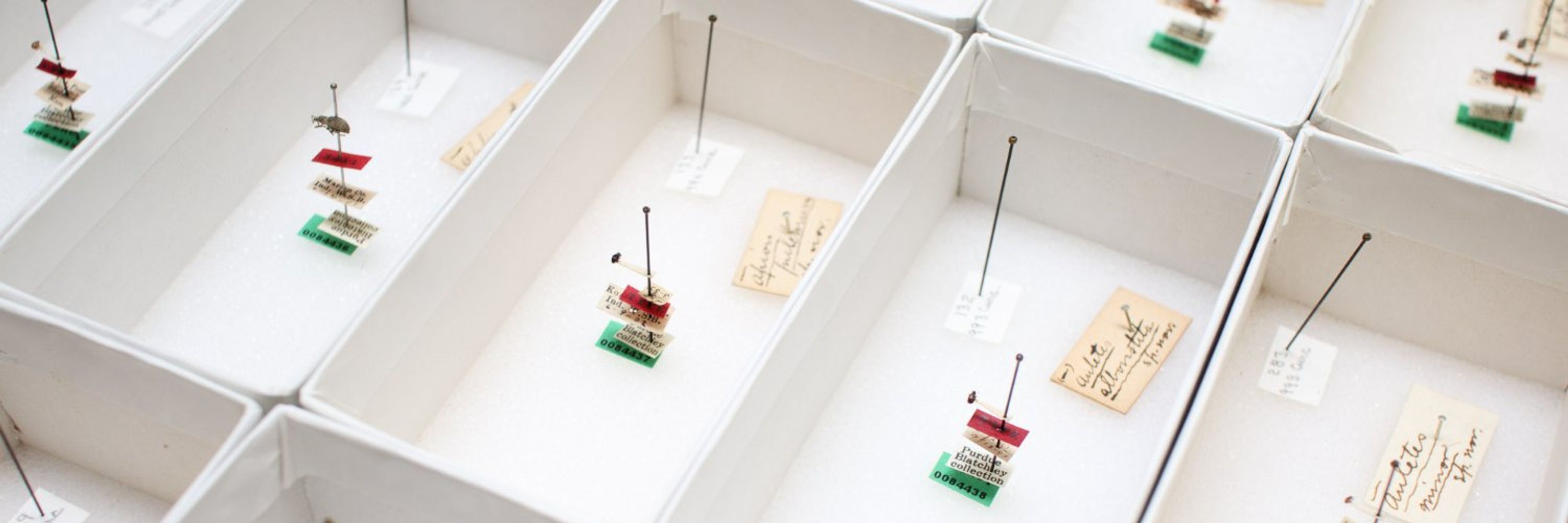 Purdue Entomological Research Collection