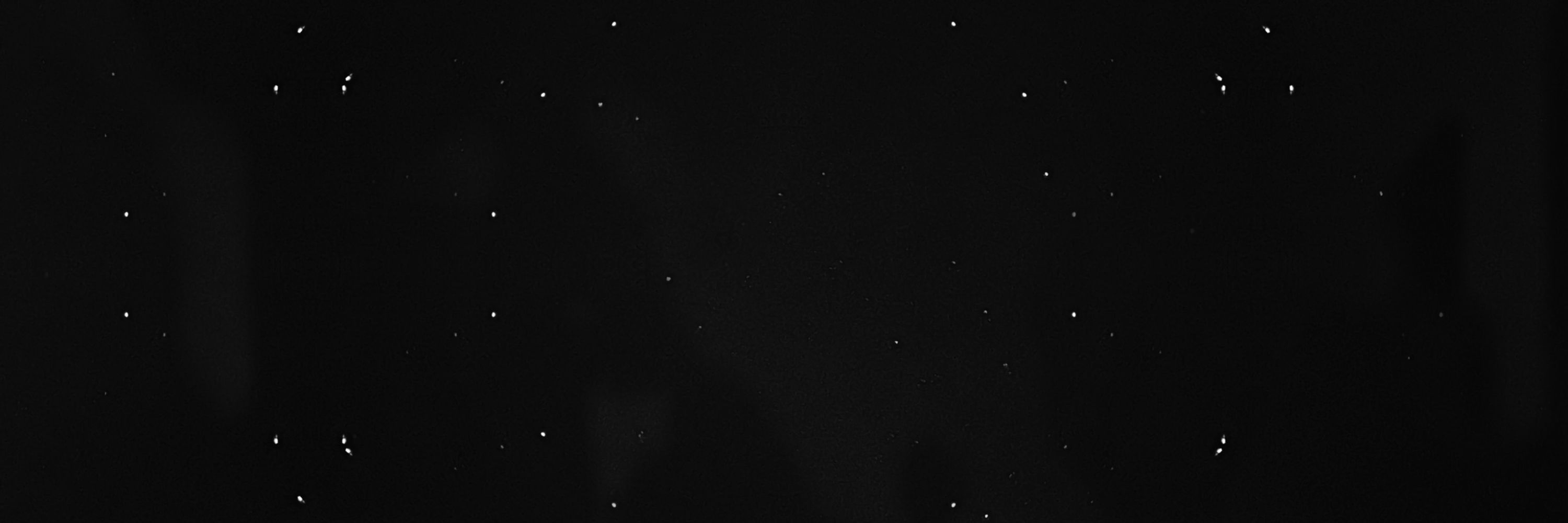 ⋆˖⁺‧₊☽◯moonbeam◯☾₊‧⁺˖⋆
