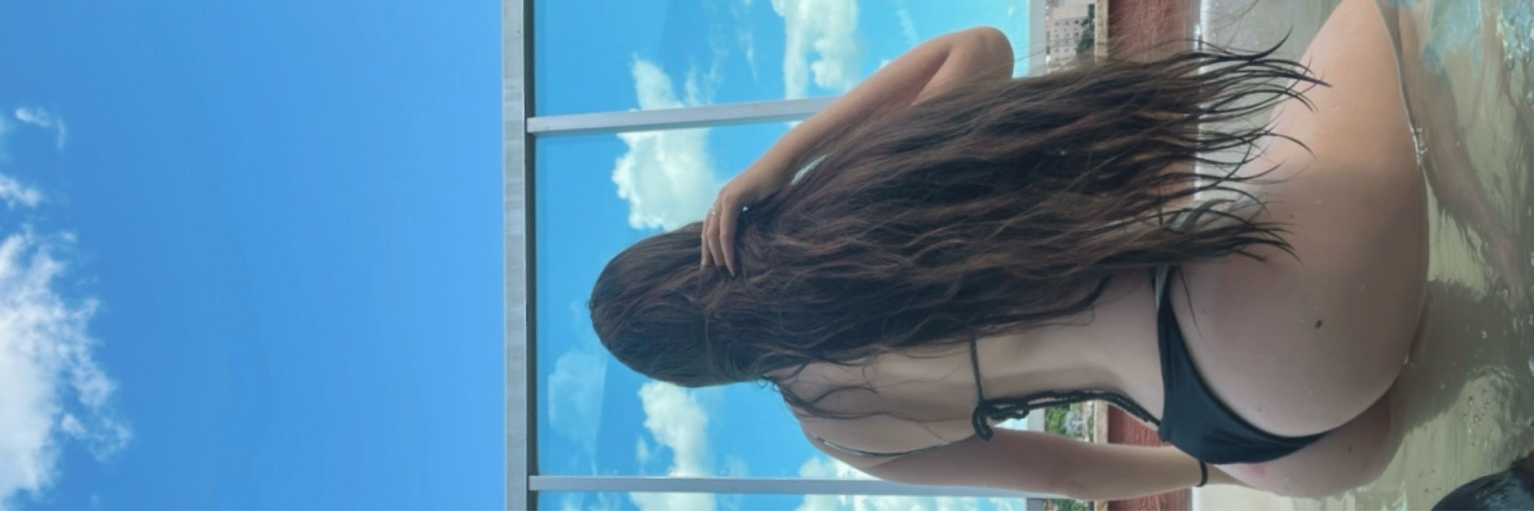 🦁
