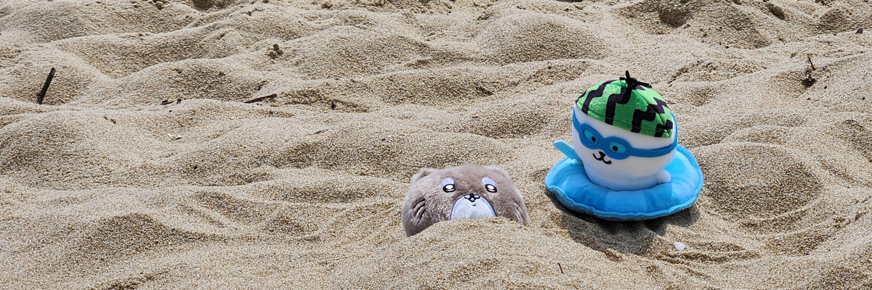 머지