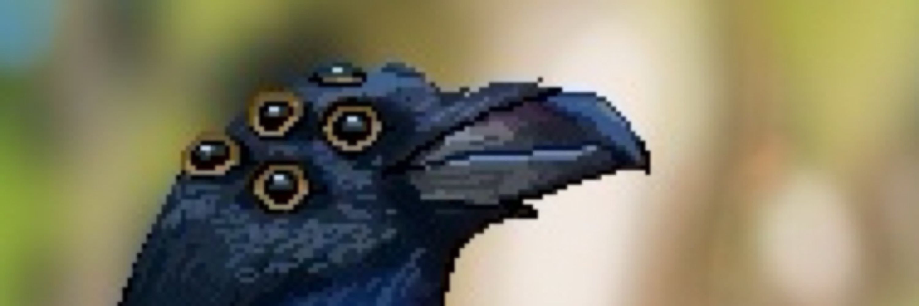 Crow 🇵🇭🏳️‍⚧️♿️