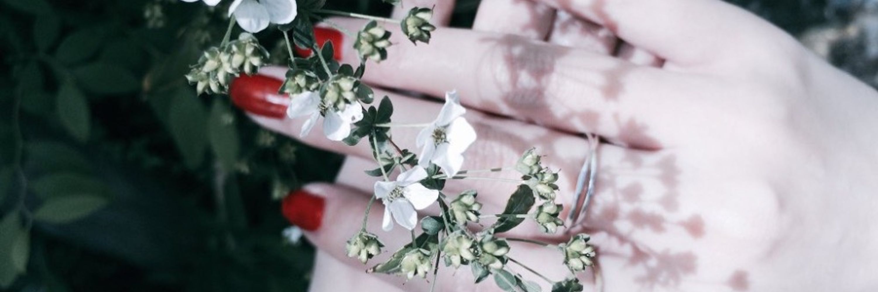 ⛰️⚰️🌷