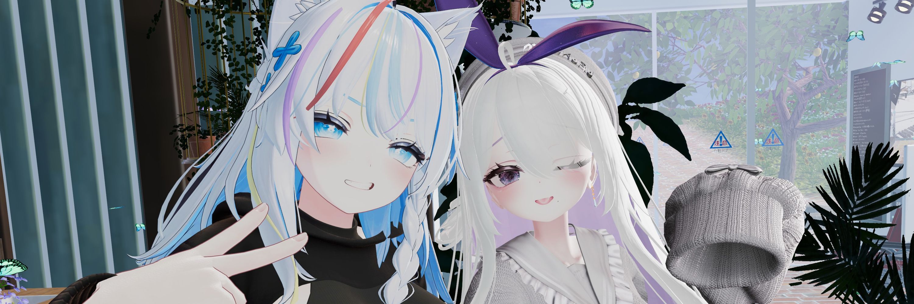 白い方のゆき