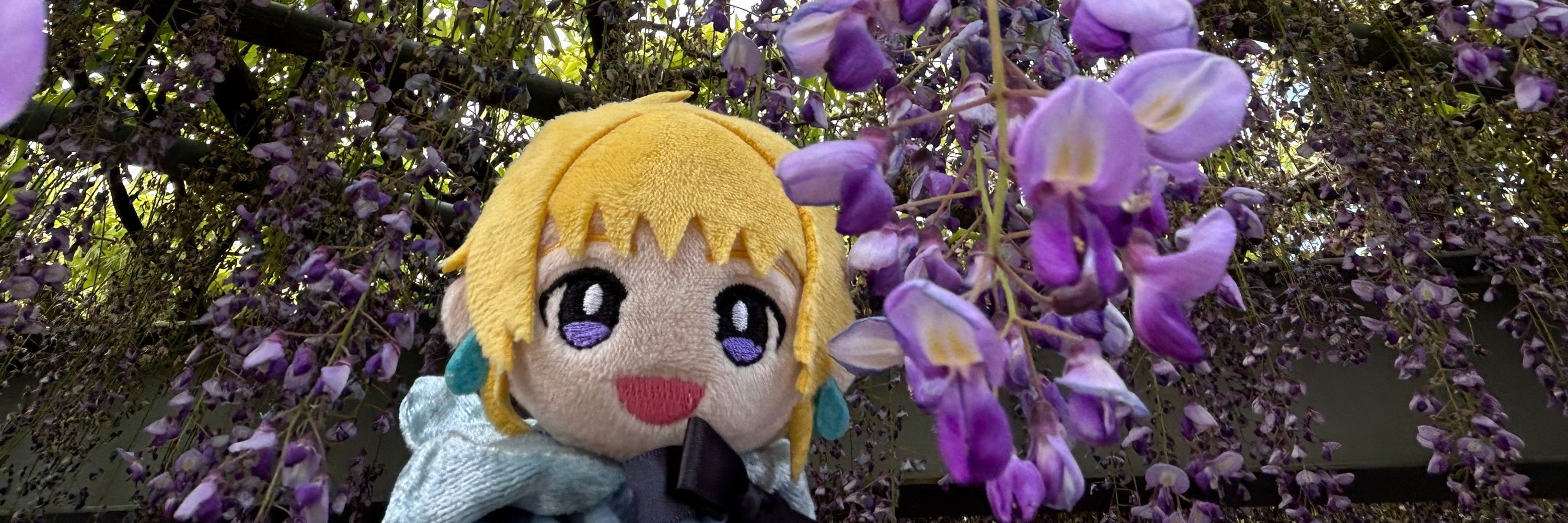 うら