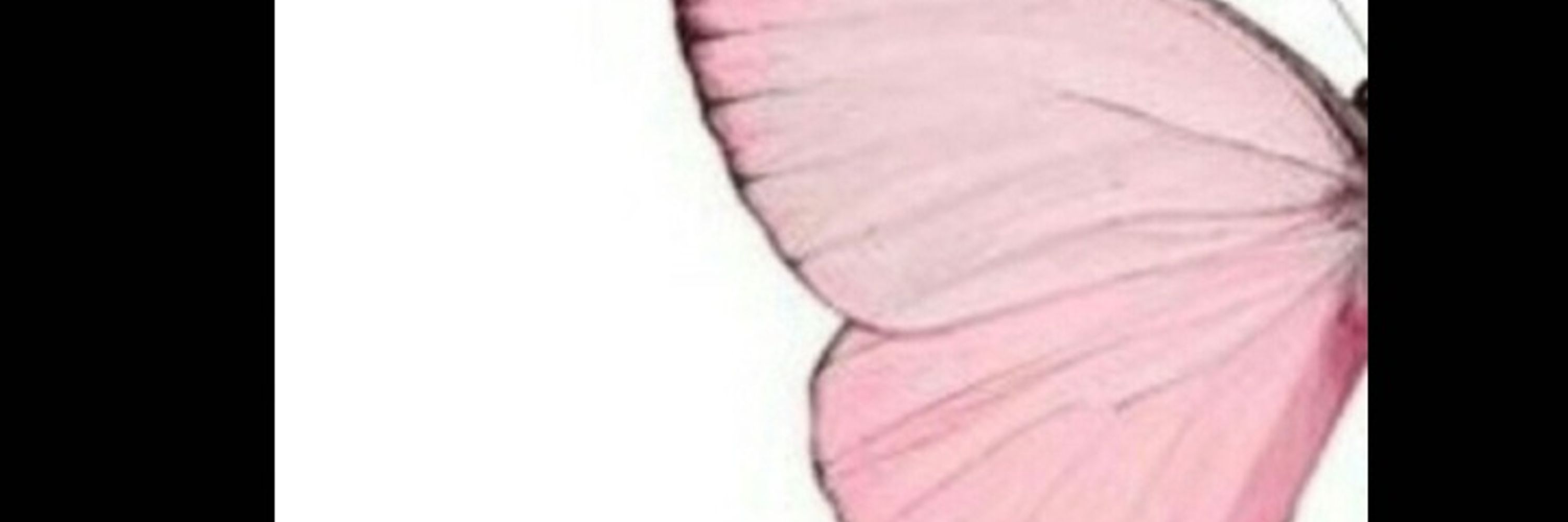 Zeynep  Özdemir 🦋
