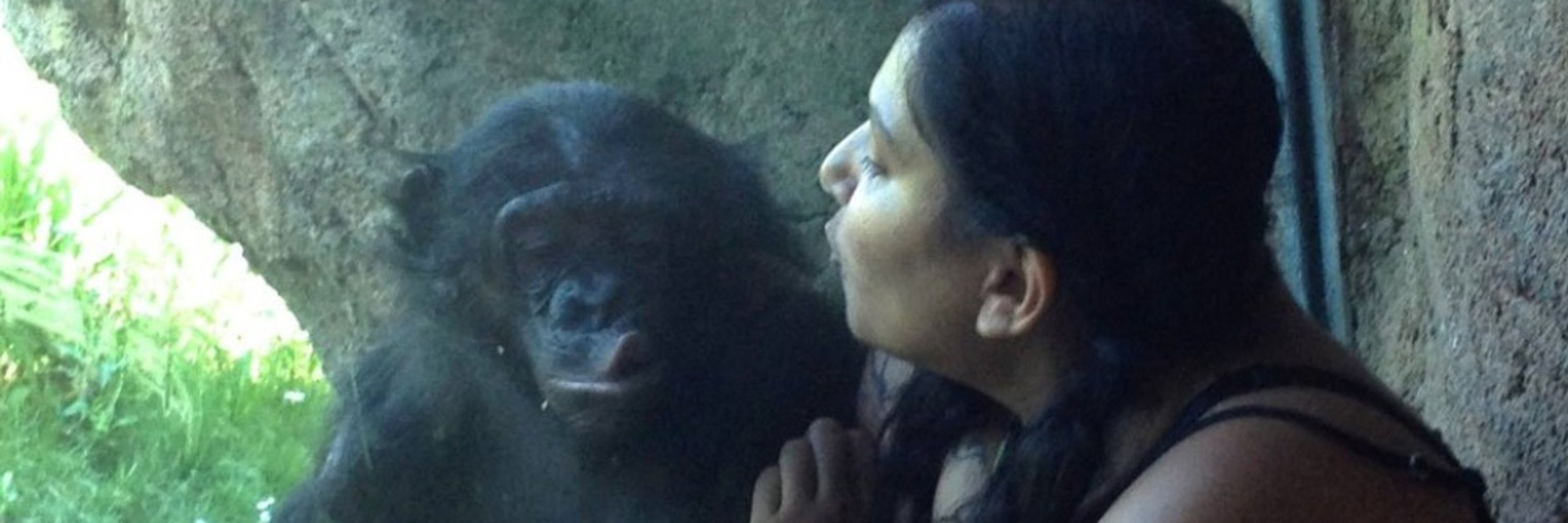Michelle A. Rodrigues 🐒