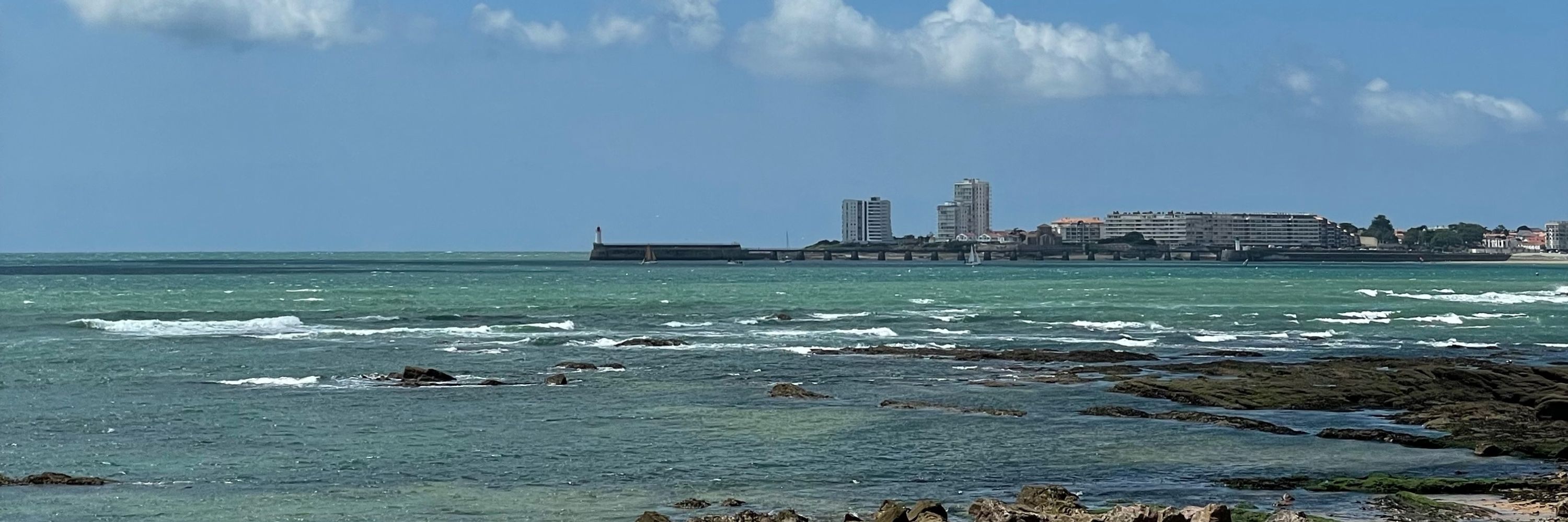 alex 🥦 grammes
